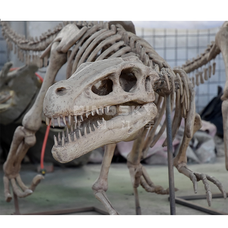 Science Exhibition Models - แบบจำลองโครงกระดูกไดโนเสาร์เรซิ่น ATV&UTV สำหรับจัดแสดงนิทรรศการวิทยาศาสตร์