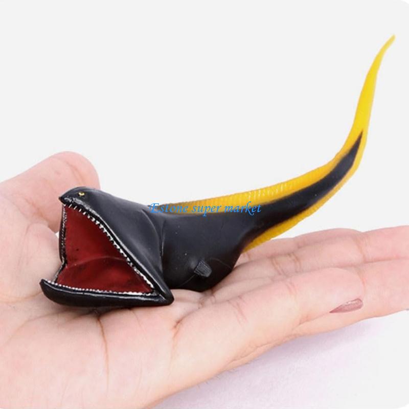 090B ปลา Moray รุ่นสัตว์ทะเลที - Science Exhibition Models บทวิจารณ์และราคา