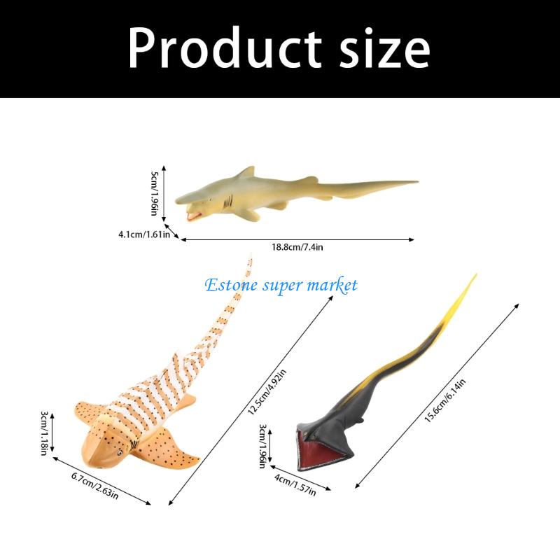 090B ปลา Moray รุ่นสัตว์ทะเลที - Science Exhibition Models บทวิจารณ์และราคา