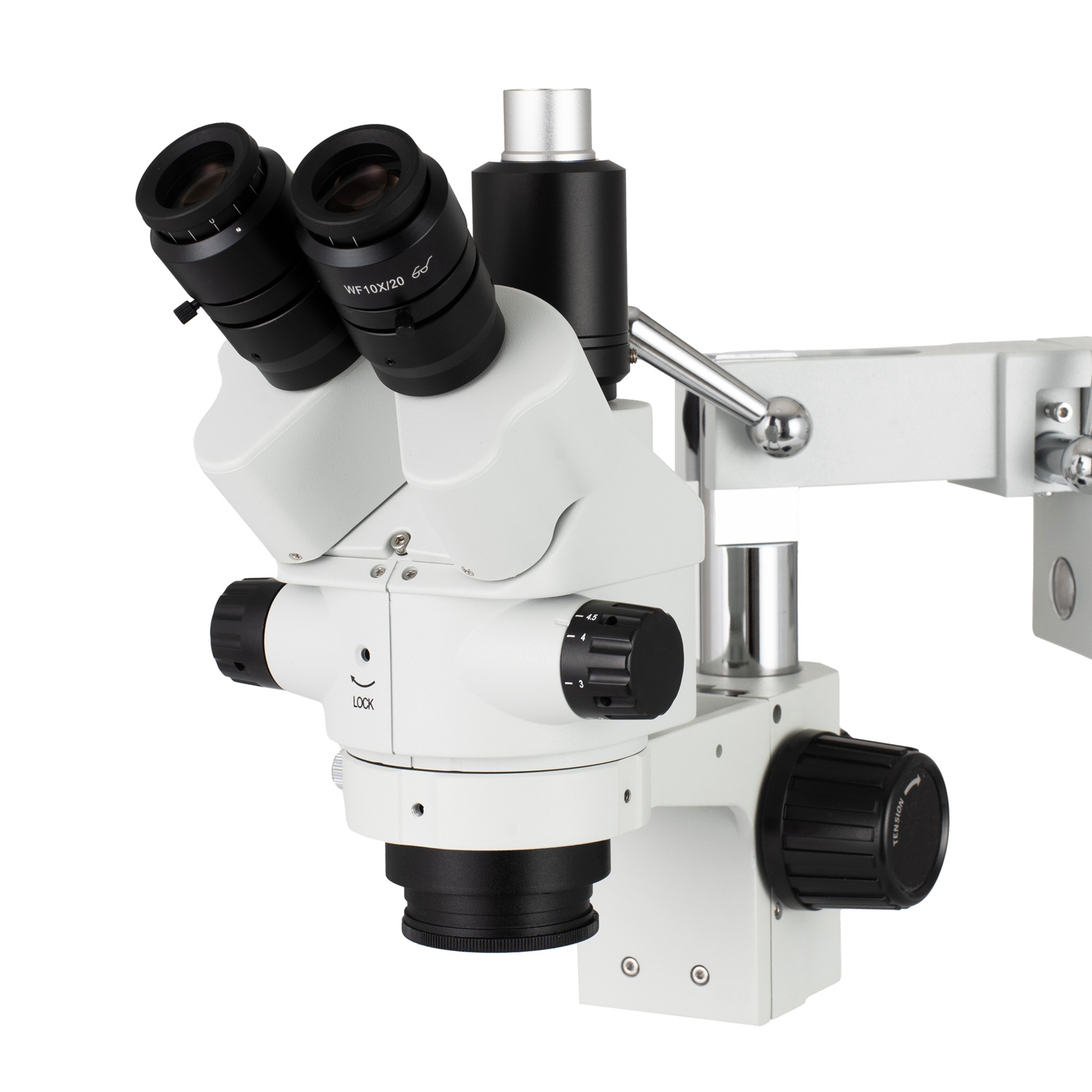 กล้องจุลทรรศน์สเตอริโอซูมแบบสา - Amscope Microscope Stereo 7X-45X บทวิจารณ์และราคา