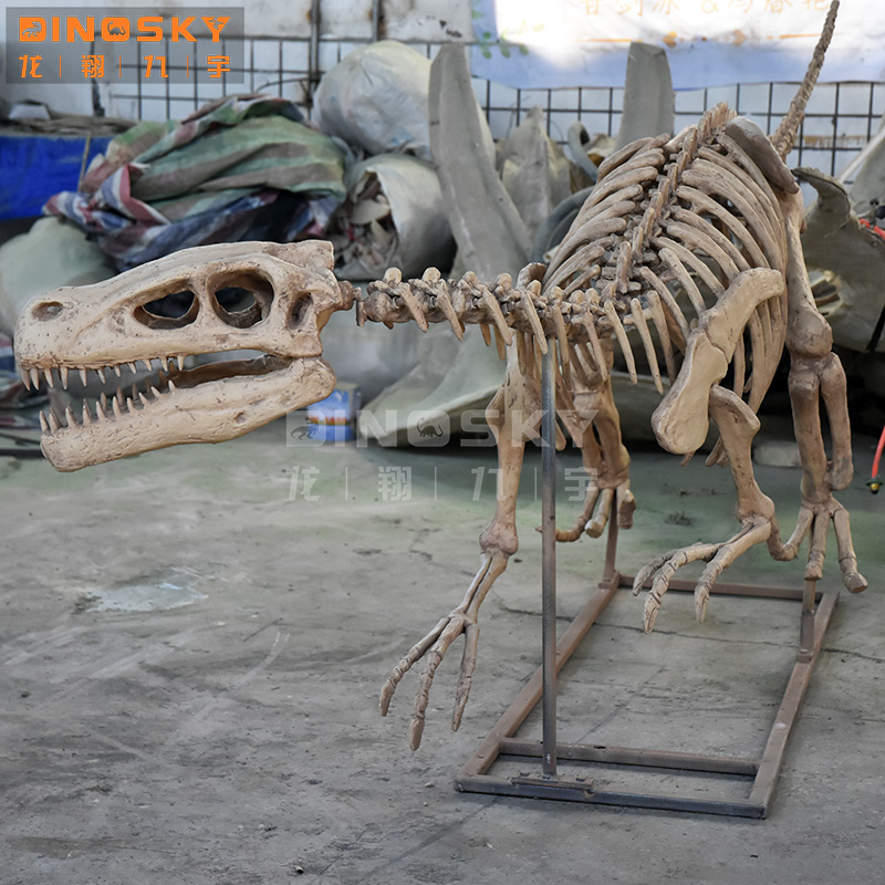 แบบจำลองโครงกระดูกไดโนเสาร์เรซ - Science Exhibition Models บทวิจารณ์และราคา
